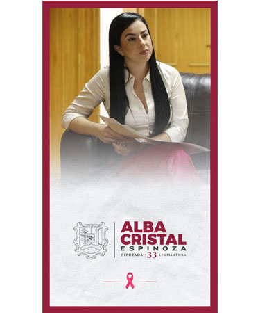 Comité Coordinador del Sistema Local Anticorrupción.