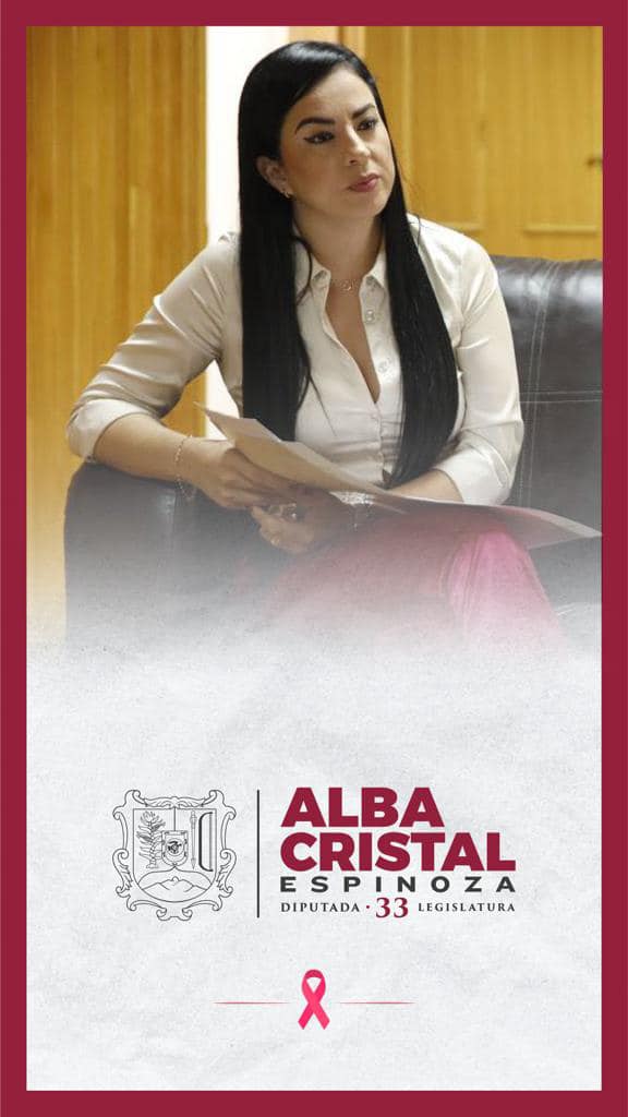 Comité Coordinador del Sistema Local Anticorrupción.