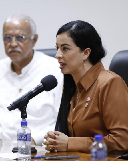Plan de Organización del Esfuerzo Pesquero de Nayarit