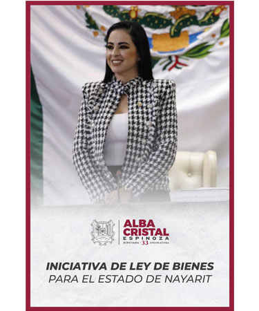 Iniciativa del la Ley de Bienes para el Estado de Nayarit.