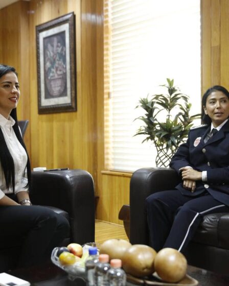 Asociación Mexicana de Jefes de Bomberos