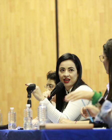 Armonización Legislativa en Materia Penal, Avances en lo local