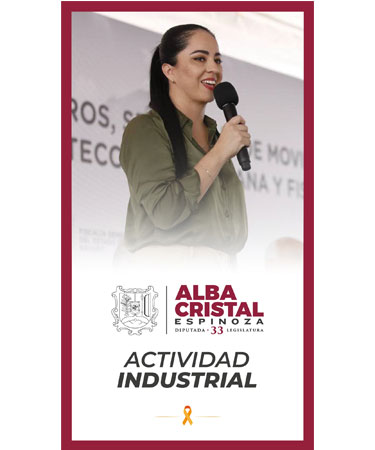 Actividad Industrial