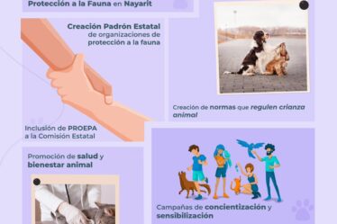 La Ley de Bienestar Animal en Nayarit, será una realidad.