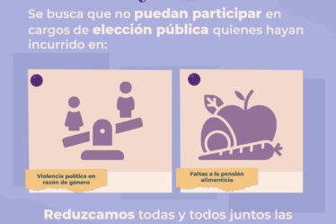 Nayarit a favor para que deudores y violentadores no puedan ser votados.