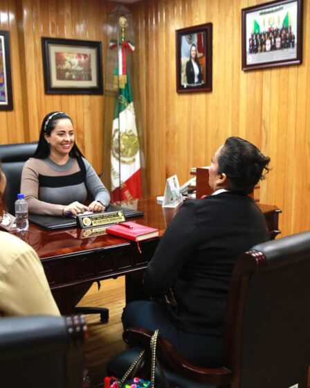 Comité Ejecutivo del Sindicato Nacional de Trabajadores del Seguro Social