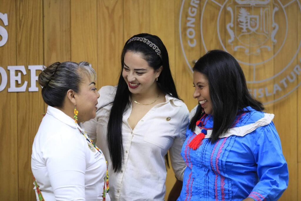 Comité Técnico Interinstitucional de la Consulta a Pueblos y Comunidades Originarías