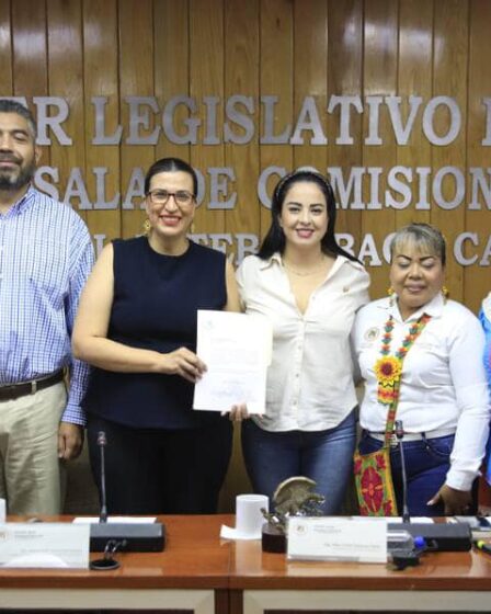 Comité Técnico Interinstitucional de la Consulta a Pueblos y Comunidades Originarías