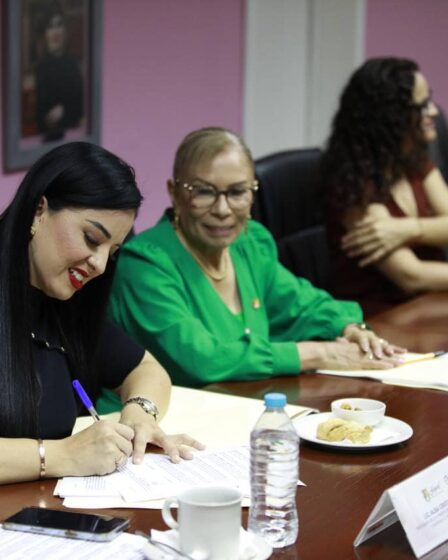 Consulta Previa a Personas con Discapacidad en Nayarit