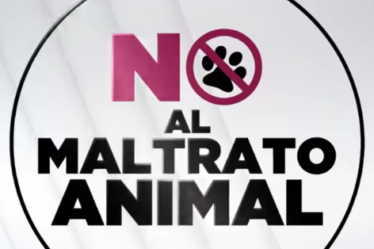 Abuso y maltrato animal En Nayarit no podemos tolerar el abuso y maltrato animal. Por eso trabajé en una reforma para castigar a quienes abusen de los animales de nuestro estado. Debemos proteger a toda la fauna porque es parte de nuestra identidad nayarita.