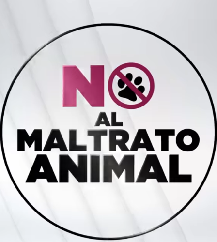 Abuso y maltrato animal En Nayarit no podemos tolerar el abuso y maltrato animal. Por eso trabajé en una reforma para castigar a quienes abusen de los animales de nuestro estado. Debemos proteger a toda la fauna porque es parte de nuestra identidad nayarita.