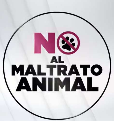 Abuso y maltrato animal En Nayarit no podemos tolerar el abuso y maltrato animal. Por eso trabajé en una reforma para castigar a quienes abusen de los animales de nuestro estado. Debemos proteger a toda la fauna porque es parte de nuestra identidad nayarita.