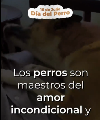 Día del Perro