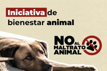 Las acciones y esfuerzos, siempre darán mejores resultados si se realizan de una manera integral, legislando y con acciones sociales en conjunto con la ciudadanía. Seamos parte de la solución, pongamos manos a la obra y digamos: NO al Maltrato Animal.