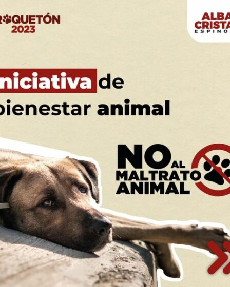 Las acciones y esfuerzos, siempre darán mejores resultados si se realizan de una manera integral, legislando y con acciones sociales en conjunto con la ciudadanía. Seamos parte de la solución, pongamos manos a la obra y digamos: NO al Maltrato Animal.