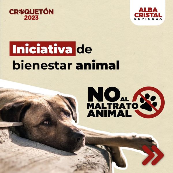 Las acciones y esfuerzos, siempre darán mejores resultados si se realizan de una manera integral, legislando y con acciones sociales en conjunto con la ciudadanía. Seamos parte de la solución, pongamos manos a la obra y digamos: NO al Maltrato Animal.