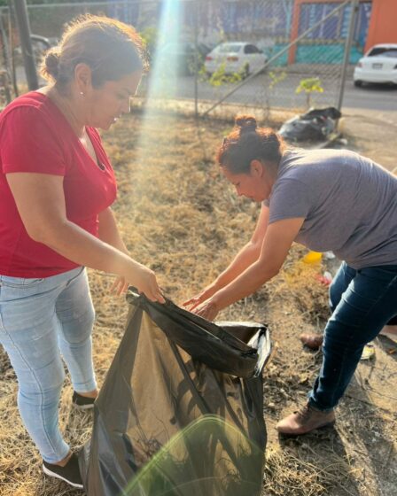 Brigada de servicios de poda