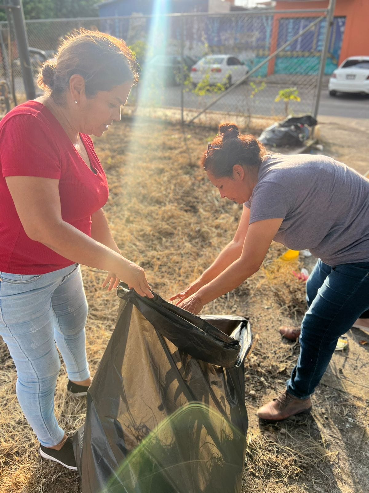 Brigada de servicios de poda